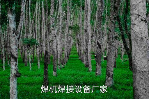 自動化焊機公司,武漢自動焊接機