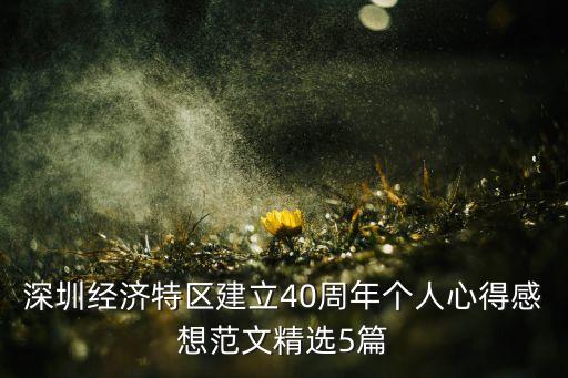 深圳經(jīng)濟特區(qū)建立40周年個人心得感想范文精選5篇