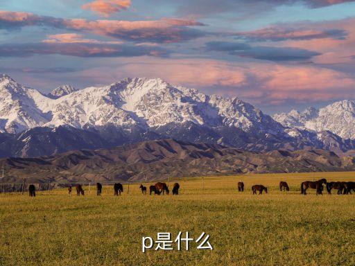 p是什么