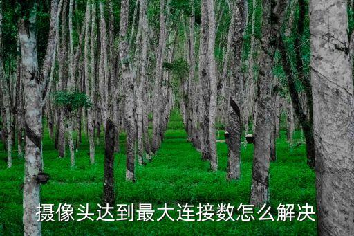 攝像頭達(dá)到最大連接數(shù)怎么解決