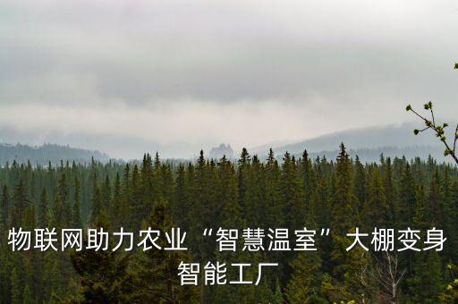 物聯(lián)網(wǎng)助力農(nóng)業(yè)“智慧溫室”大棚變身智能工廠