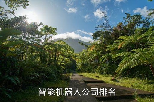 小優(yōu)機(jī)器人生產(chǎn)基地,機(jī)器人小優(yōu)使用說明