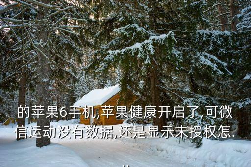 的蘋果6手機(jī),蘋果健康開啟了,可微信運(yùn)動(dòng)沒有數(shù)據(jù),還是顯示未授權(quán)怎...