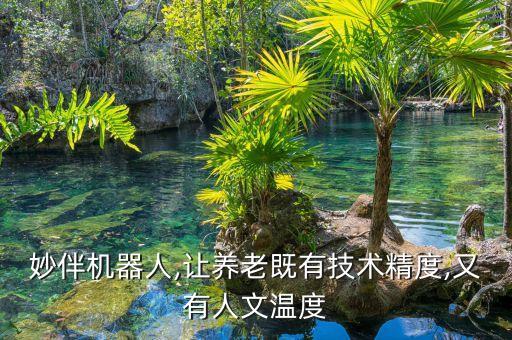 妙伴機器人,讓養(yǎng)老既有技術(shù)精度,又有人文溫度