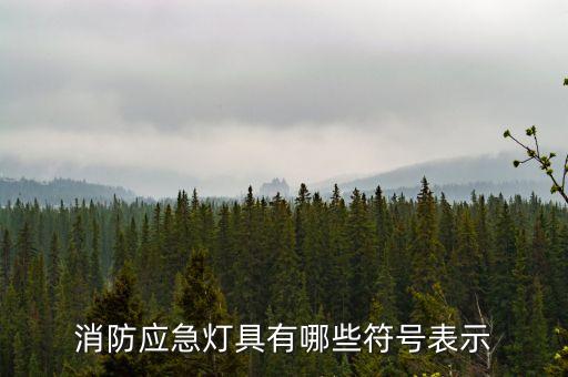 應(yīng)急照明燈,應(yīng)急燈是應(yīng)急照明用燈具的總稱