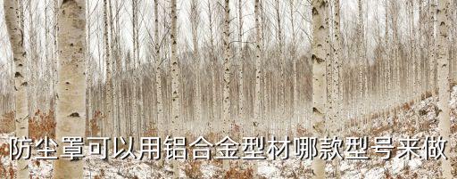 防塵罩可以用鋁合金型材哪款型號來做