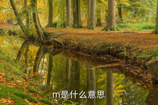 m是什么意思