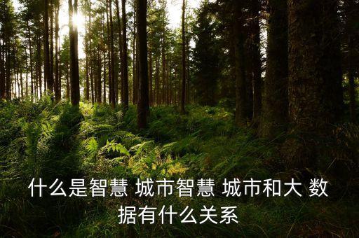 城市大數(shù)據(jù) 背景,大數(shù)據(jù)出現(xiàn)的背景