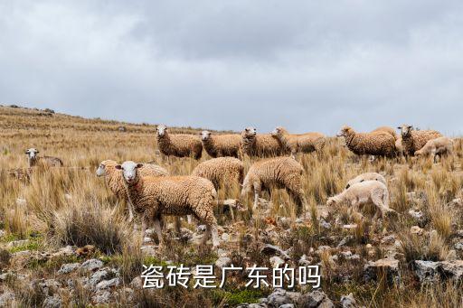 廣州創(chuàng)嘉自動(dòng)化設(shè)備,森發(fā)瓷磚是廣東的嗎?