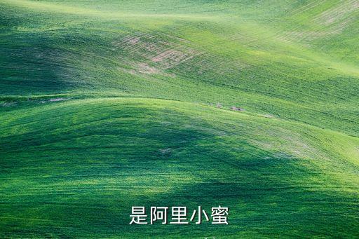 阿里大數(shù)據(jù)胸罩各省,大數(shù)據(jù)阿里巴巴