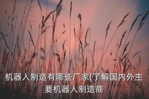 機(jī)器人制造有哪些廠家(了解國(guó)內(nèi)外主要機(jī)器人制造商