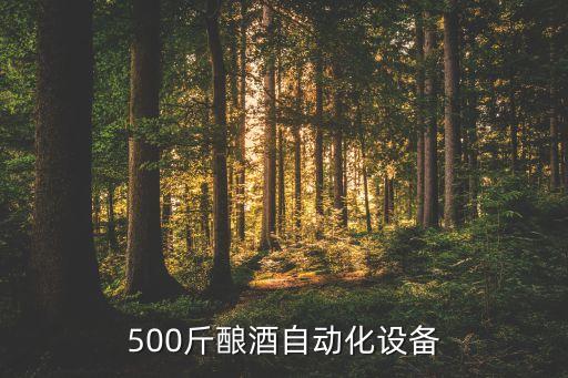 500斤釀酒自動(dòng)化設(shè)備