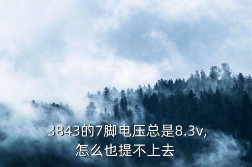 3843