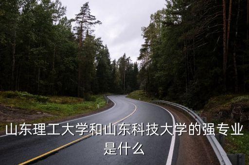 山東理工大學(xué)和山東科技大學(xué)的強(qiáng)專業(yè)是什么