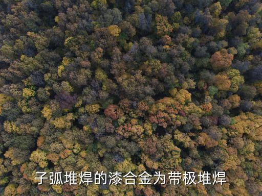 子弧堆焊的漆合金為帶極堆焊
