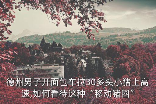 豬仔自動化屠宰設(shè)備,豬仔的品種有哪些?