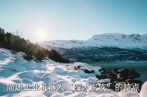 簡(jiǎn)述工業(yè)機(jī)器人“四大家族”的特點(diǎn)