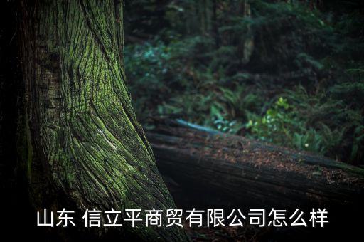 山東 信立平商貿(mào)有限公司怎么樣