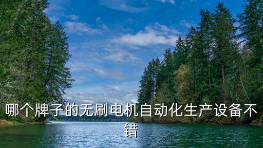 哪個牌子的無刷電機自動化生產設備不錯