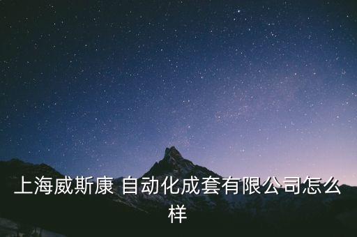 上海威斯康 自動化成套有限公司怎么樣