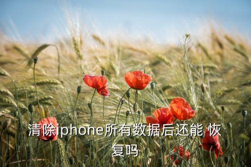 清除iphone所有數(shù)據(jù)后還能 恢復(fù)嗎