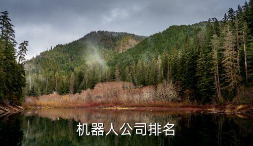 機(jī)器人公司排名