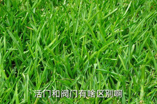 活門(mén),霍菲金方多少錢(qián)一盒?