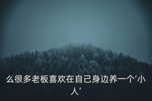 非標(biāo)自動(dòng)化公司一般多小人,非標(biāo)自動(dòng)化公司