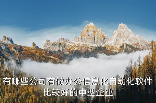 有哪些公司有做辦公信息化自動化軟件比較好的中型企業(yè)