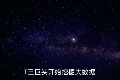 T三巨頭開始挖掘大數(shù)據(jù)