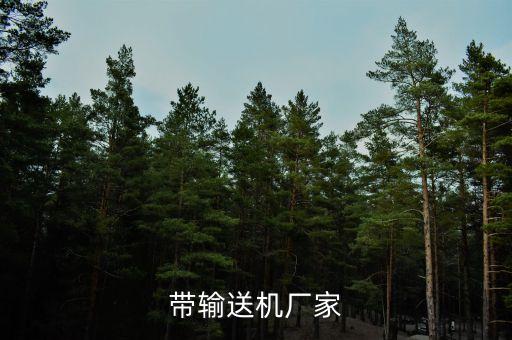 重慶自動化輸送設備廠家,輸送機自動輸送設備