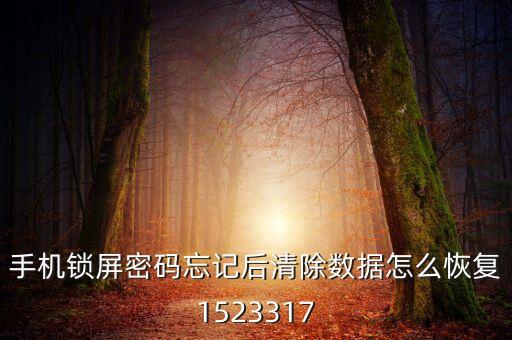 手機(jī)鎖屏密碼忘記后清除數(shù)據(jù)怎么恢復(fù)1523317