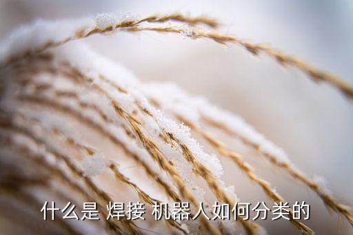什么是 焊接 機器人如何分類的