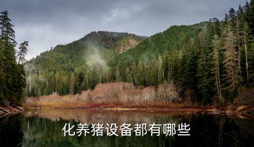 河南自動化設備批發(fā)商城,湖南自動養(yǎng)雞設備批發(fā)