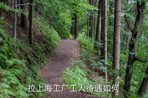 拉上海工廠工人待遇如何