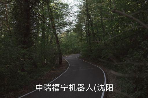 中瑞福寧機器人(沈陽