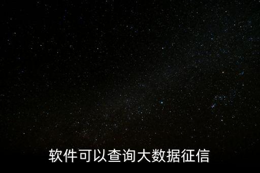 軟件可以查詢大數據征信