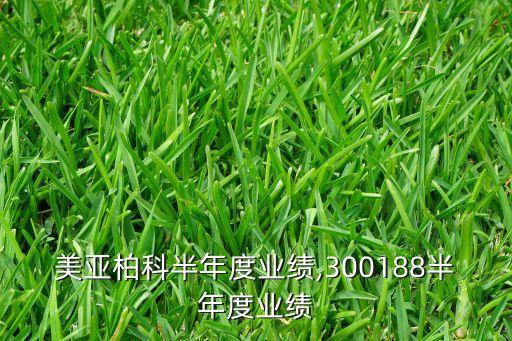 美亞柏科半年度業(yè)績(jī),300188半年度業(yè)績(jī)