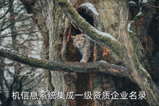 九歌自動(dòng)化科技有限公司,青島九歌科技有限公司