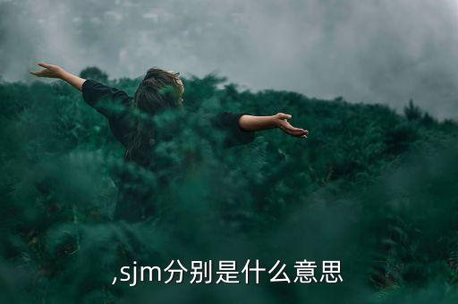 ,sjm分別是什么意思