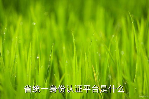 統(tǒng)一平臺(tái),北京市統(tǒng)一報(bào)名平臺(tái)