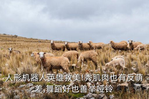 機(jī)器人好萌,賽格威路萌機(jī)器人有多少型號(hào)?