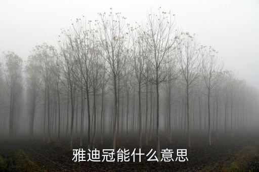  雅迪冠能什么意思