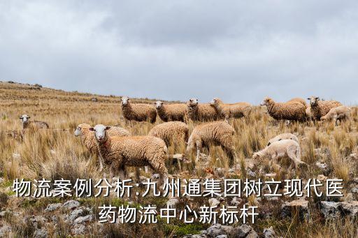 藥品自動化設(shè)備銷售公司,藥品配送與流通的自動化設(shè)備有