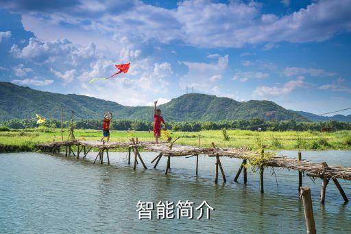 人工智能 訓(xùn)練數(shù)據(jù),工業(yè)人工智能關(guān)鍵技術(shù)