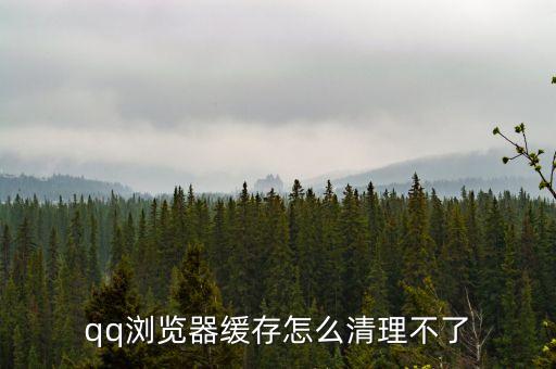 qq瀏覽器緩存怎么清理不了