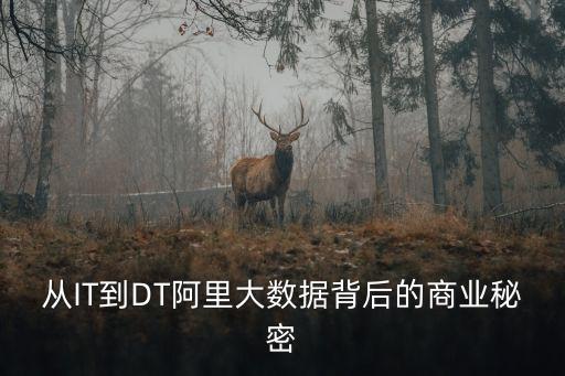 從IT到DT阿里大數(shù)據(jù)背后的商業(yè)秘密