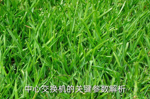 中心交換機(jī)的關(guān)鍵參數(shù)解析