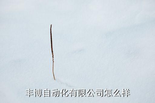 河南稱重設(shè)備自動化公司,自動稱重設(shè)備系統(tǒng)