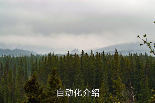 自動(dòng)化設(shè)備程序功能,非標(biāo)準(zhǔn)自動(dòng)化設(shè)備